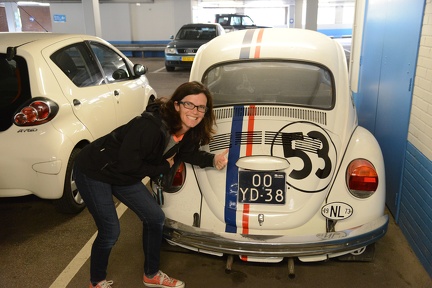 Herbie the Bug
